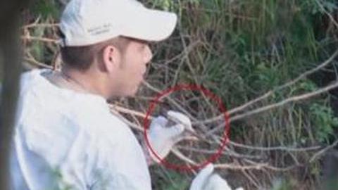 caso ayotzinapa iguala