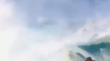 El simpático animalito sorprendió a todos los que estaban presentens en la playa.