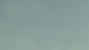 El Día de la Tierra 2016 llama a sembrar árboles y reforestar las selvas, que son los pulmones del planeta, para reducir el calentamiento global.