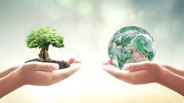 El Día de la Tierra 2016 llama a sembrar árboles y reforestar las selvas, que son los pulmones del planeta, para reducir el calentamiento global.
