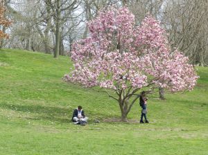 Critican "vagancia" y falta del liderazgo: alcalde de Nueva York va al parque en horas de trabajo