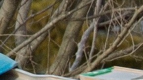 El obrero cayó de una escalera cuando trabajaba en un edificio.