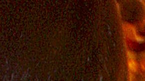 Los cantantes Rosario Flores y David Bisbal son grandes amigos y han compartido escenario en varias ocasiones.