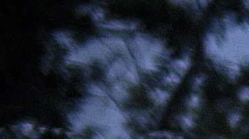 Las autoridades han tenido que intervenir después de que un nuevo grupo nacionalista difundiera el lunes un vídeo sobre la "detención" de tres aterrorizados inmigrantes.