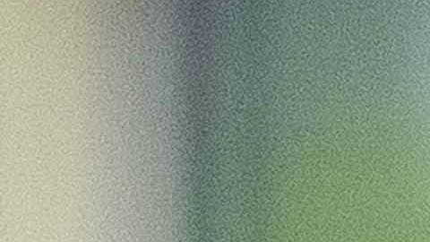 David Cameron fue titular junto con su esposa, Samantha, de 5,000 títulos de Blairmore Investment Trust, registrado en las Bahamas.