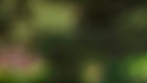 Clayton Kershaw es por segunda vez consecutiva el mejor pagado de la Gran Carpa.