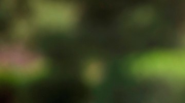 Clayton Kershaw es por segunda vez consecutiva el mejor pagado de la Gran Carpa.