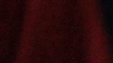 Freddie Roach y Manny Pacquiao durante la conferencia de prensa previa a la pelea con Bradley.