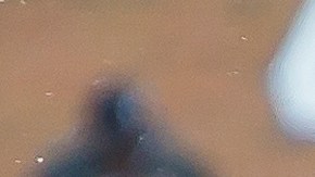 CC Sabathia lanzó hasta el inicio de la séptima entrada.