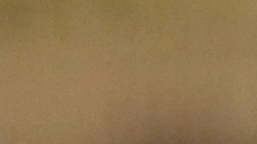 Dee Gordon debutó en Grandes Ligas con los Dodgers.