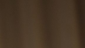 Barack Obama, bromeó hoy sobre su vida fuera de la Casa Blanca como "comandante del sofá".
