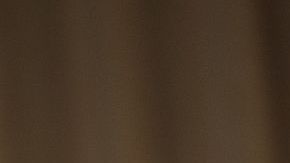 Barack Obama, bromeó hoy sobre su vida fuera de la Casa Blanca como "comandante del sofá".