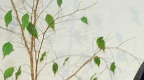 Cuando Alberto Fujimori se divorció de su esposa Susana Higuchi, la actual candidata Keiko Fujimori, ejerció de primera dama.