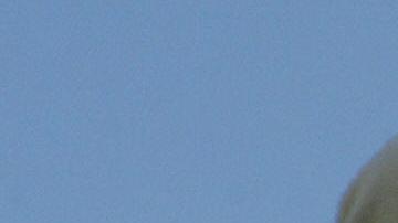 Edith González es una de las celebrities que aparecen en la lista de los 'Panama Papers'.