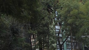 Un contingente numeroso acompaña a los padres de los normalistas desaparecidos.