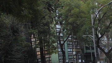 Un contingente numeroso acompaña a los padres de los normalistas desaparecidos.