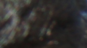 El cardenal Theodore McCarrick confía en que el Tribunal Supremo apoyará los alivios migratorios porque "la fortaleza de EEUU está en las familias, en los inmigrantes".