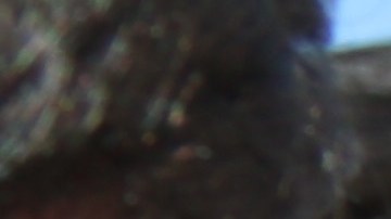 El cardenal Theodore McCarrick confía en que el Tribunal Supremo apoyará los alivios migratorios porque "la fortaleza de EEUU está en las familias, en los inmigrantes".