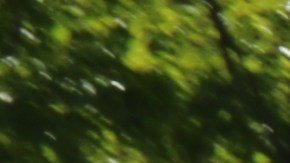 Activistas se manifiestan frente al Tribunal Supremo a favor de los alivios migratorios anunciados por el presidente Barack Obama en noviembre de 2014.