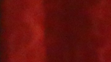 Melissa Fitzgerald, actriz de la serie "The West Wing".