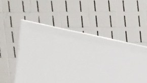 Elecciones primarias en Nueva York.