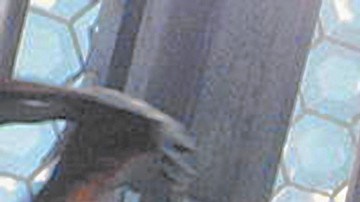 'Jurassic World' contará con una secuela, dirigida por J.A. Bayona, que se estrenará en junio de 2018.