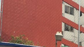 Denuncian abuso sexual infantil.