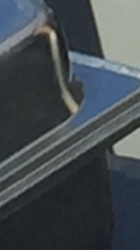 Manolo López, dueño de Monfon.Go, en Smorgasburg el domingo10 de abril./A.B.N.