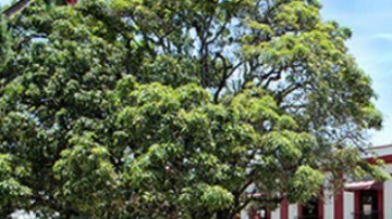 Buscan justicia en el caso de las policías.