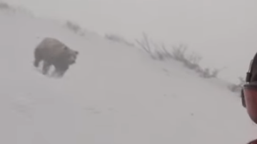 La joven se dio cuenta de que la perseguía un oso, varios días después, cuando revisó el video.