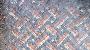 Irwin trabajaba en la colocación de cablería eléctrica en el jardín cuando halló un mosaico.