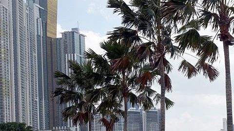 Panamá, en el centro de la tormenta tras la divulgación de documentos que revelan tramas de lavado de dinero. Foto: Getty