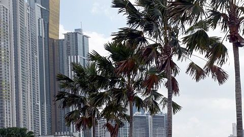 Panamá, en el centro de la tormenta tras la divulgación de documentos que revelan tramas de lavado de dinero. Foto: Getty