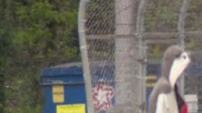 El hombre cargaba un USB con supuesta información que quería que se difundiera.