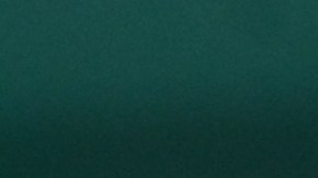 Protesta en Brooklyn contra la violencia racial, económica, de cara a las primarias el martes 19 de abril en NY.