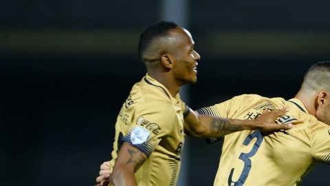 Pumas