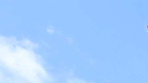 Eastchester Gardens, El Bronx, NYC.