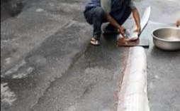 Los habitantes se repartieron el pescado.