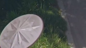 Este fue el león de montaña que espantó a estudiantes de Los Ángeles.