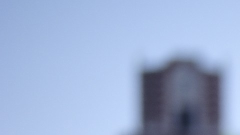 Y hay algunas pruebas de que los parques pueden desempeñar un papel importante en la mejora de la actividad física y la reducción del estrés.