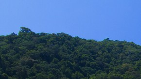 isla desierta