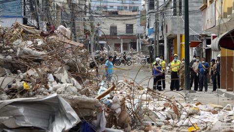 sismo terremoto ecuador (2)