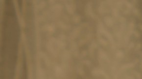 A nivel nacional, según un análisis del Censo, alrededor del 21% de los adultos (no hay diferenciación entre grupos étnicos) de 65 años o más viven solos.