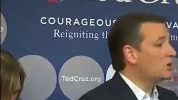 ted cruz spanglish