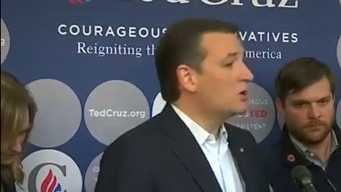 ted cruz spanglish