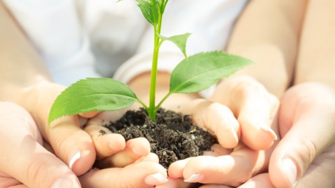 Los padres tienen que poner su granito de arena en el hogar, inculcando en sus hijos los hábitos que protegen a la Tierra.