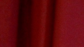 Canciller de Educacion Carmen Farina en la campana de "Just Say Hi" en las escuelas publicas para los estudiantes con paralisis cerebral  en Nueva York. 
Photo Credito Mariela Lombard/El Diario NY.