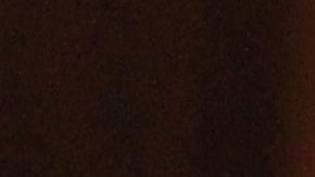 Presidenta del Concejo Melissa Mark-Viverito habla con concejal Ben Kallos sobre el uso de las bolsas tela que son mejores para el medio ambiente.
Photo Credito Mariela Lombard/El Diario NY.