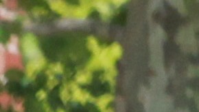 Quieren utilizan camaras en las escuelas para controlar la velocidad de los autos, para prevenir accidentes con estudiantes.
Photo Credito Mariela Lombard/El Diario NY.