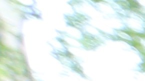 Mai-Elka Prado, que esta embarazada, es fotografiada en Brooklyn.
Photo Credito Mariela Lombard/El Diario NY.